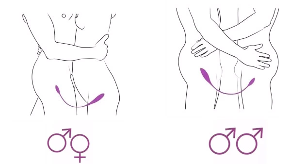 2X Double Vibrator – Vibrateur Double Rechargeable – Adrien Lastic 5 2X Double Vibrator – Vibrateur Double Rechargeable – Adrien Lastic – Image 5