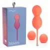 Bloom – Boules Kegel Rechargeable à Distance – We-Vibe