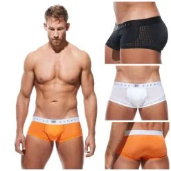 Boxeur Ajusté 4.0 – 180405 – GREGG HOMME