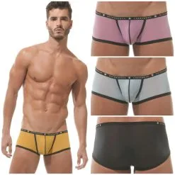 Boxer Bubble – 162105 – GREGG HOMME