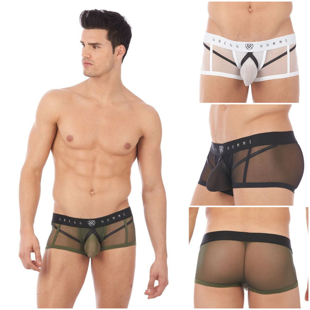 Boxer – Erupt – 140005 – GREGG HOMME 1 Boxer – Erupt – 140005 – GREGG HOMME