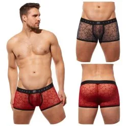 Boxeur Ajusté Starr – 190105 – GREGG HOMME