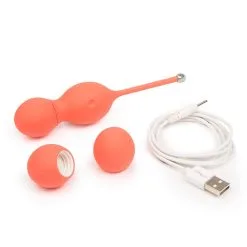 Bloom – Boules Kegel Rechargeable à Distance – We-Vibe -Pour couple boutique Chargement USB Bloom We Vibe
