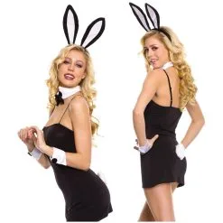 Ensemble D’Accessoires De Lapine – 70443 – Music Legs