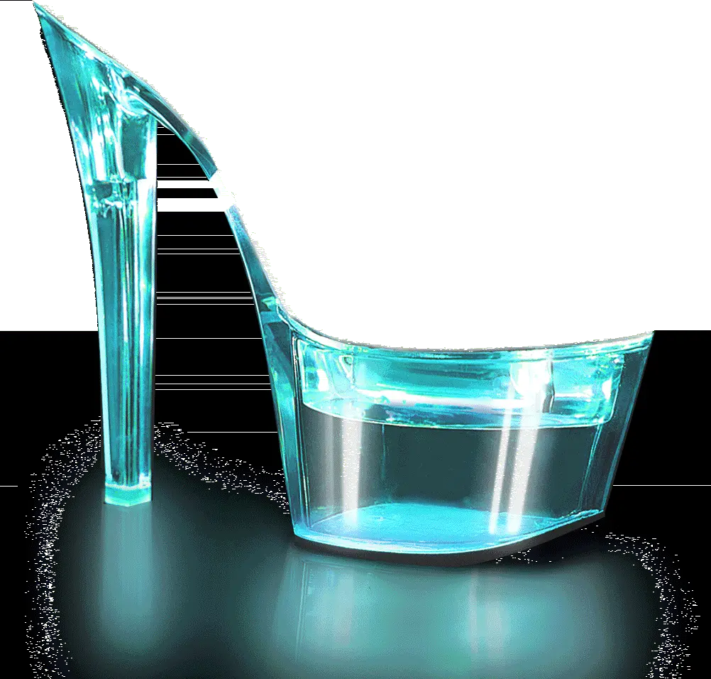 Flash Dance – Souliers – 701 – Pleaser 1 Flash Dance – Souliers – 701 – Pleaser