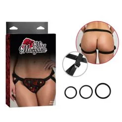 Harnais – Miss Morgane