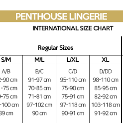 Toxic Powder – Penthouse Lingerie -Pour couple boutique Penthouse Lingerie Charte Grandeur 25