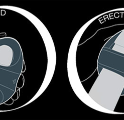 Pocket Pulse – Jouet Masculin – Hot Octopuss -Pour couple boutique Pocket Pulse Hot Octopuss Vibrateur masculin Plus Compacte Qc 1