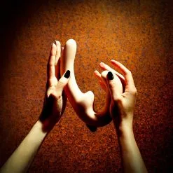 ShareVibe – Sans Harnais – Fun Factory -Pour couple boutique Share Vibe Fun Factory 1 1