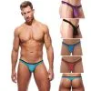 Tanga – Voyeur – 100604 – GREGG HOMME